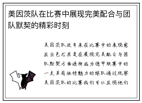 美因茨队在比赛中展现完美配合与团队默契的精彩时刻