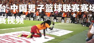 九游娱乐官方平台-中国男子篮球联赛赛场火花四射，中国男子篮球职业联赛视频